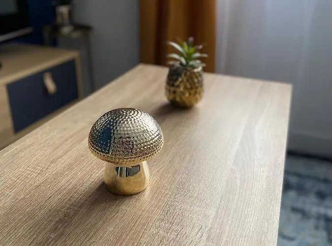 Superbe T2 Style Scandinave