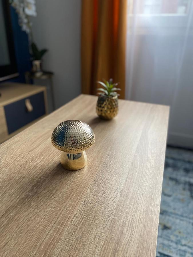 Apartment Superbe T2 Style Scandinave